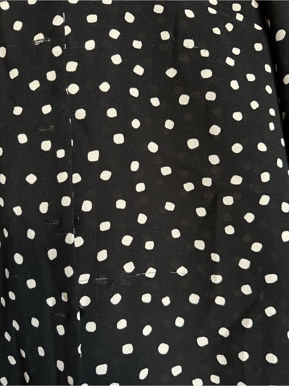 Frank & Oak Black Polka Dot Button-Up Blouse - Picture 3 of 5